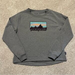 Patagonia Pullover Sweatshirt with Colorful Landscape Graphic